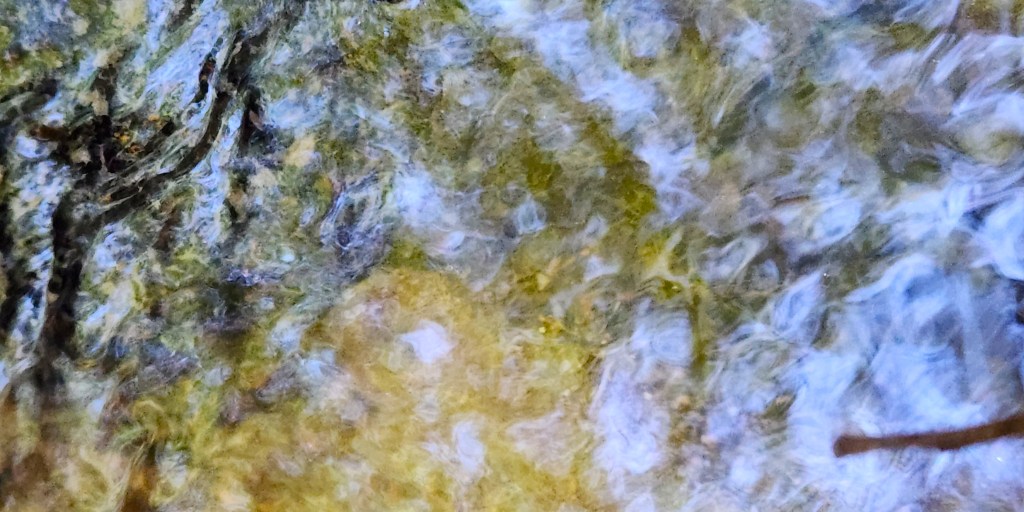 a magia da&nbsp;água