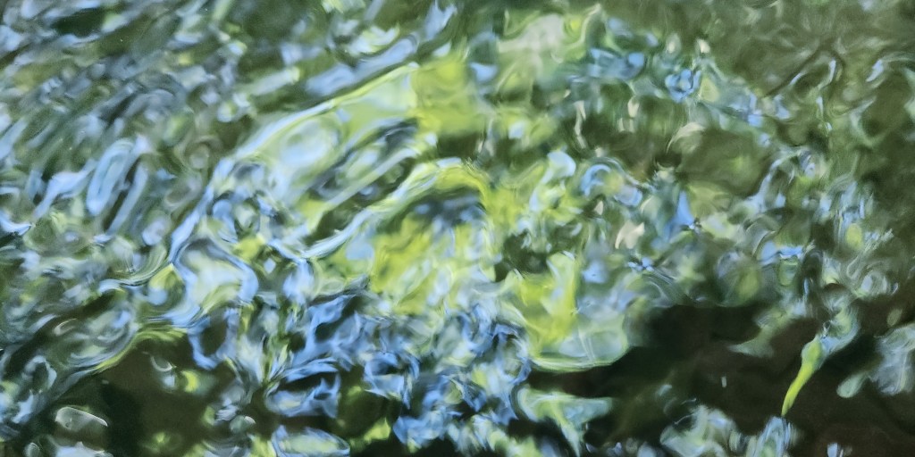 como argumentar sobre o&nbsp;Guaíba