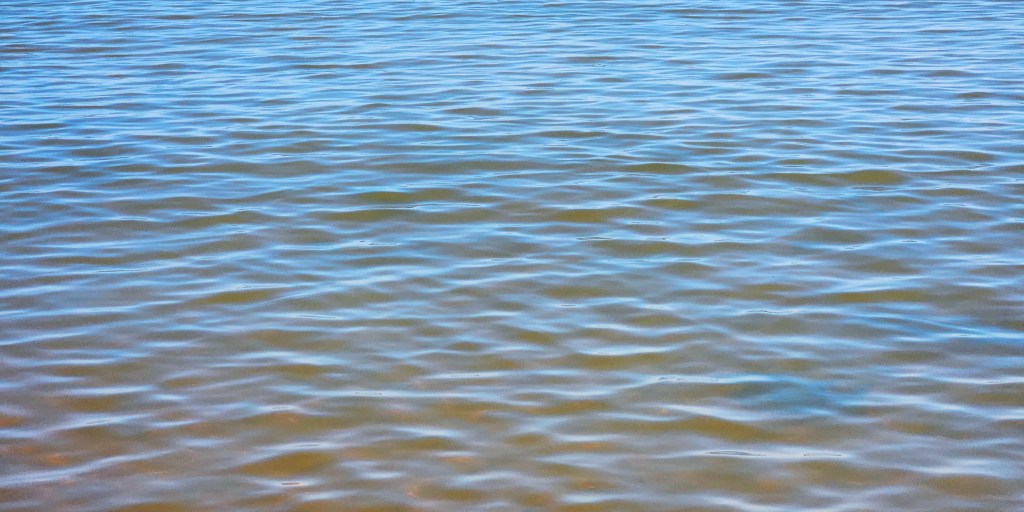 a fisiologia da&nbsp;natureza